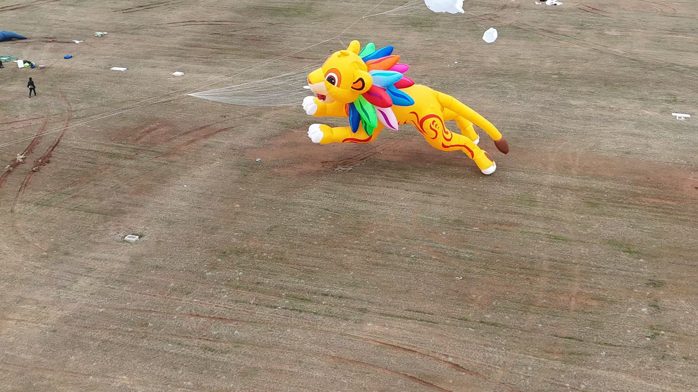 西安市品牌风筝定制风筝定制 - 推荐